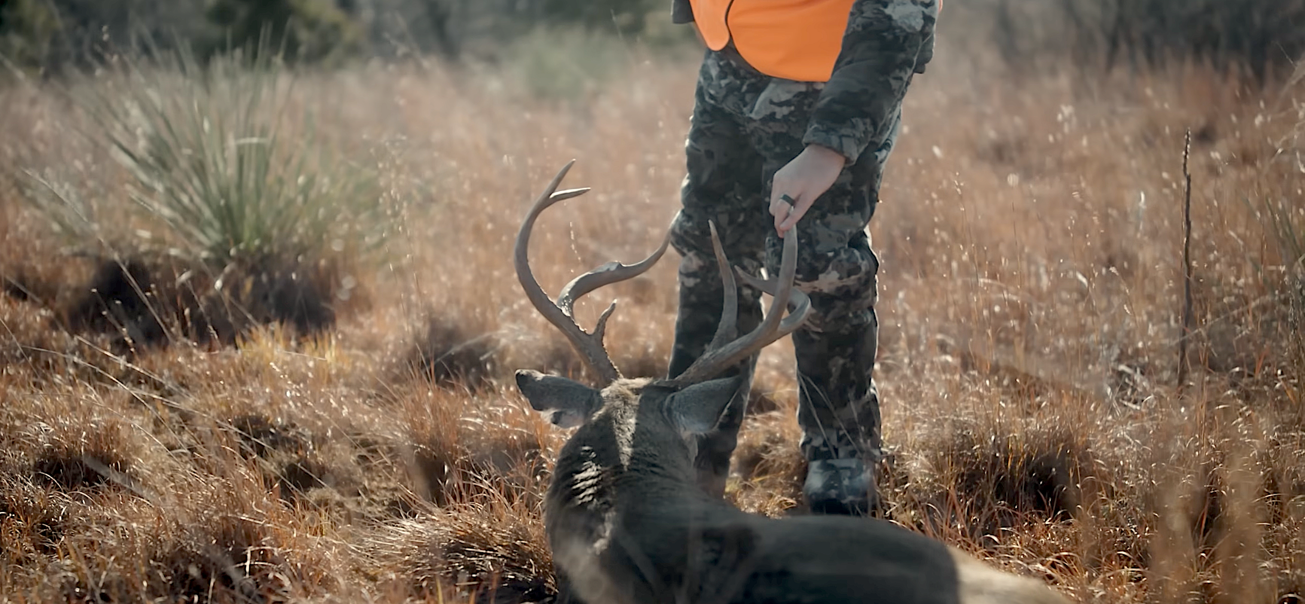 You Found a Potential Deer Hunting Lease. Now What?