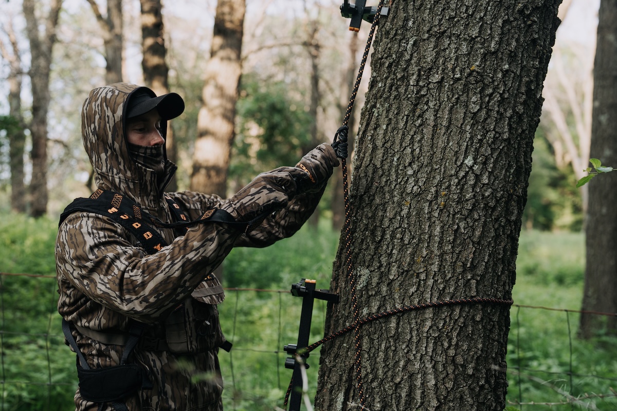 Improve Treestand Ambushes