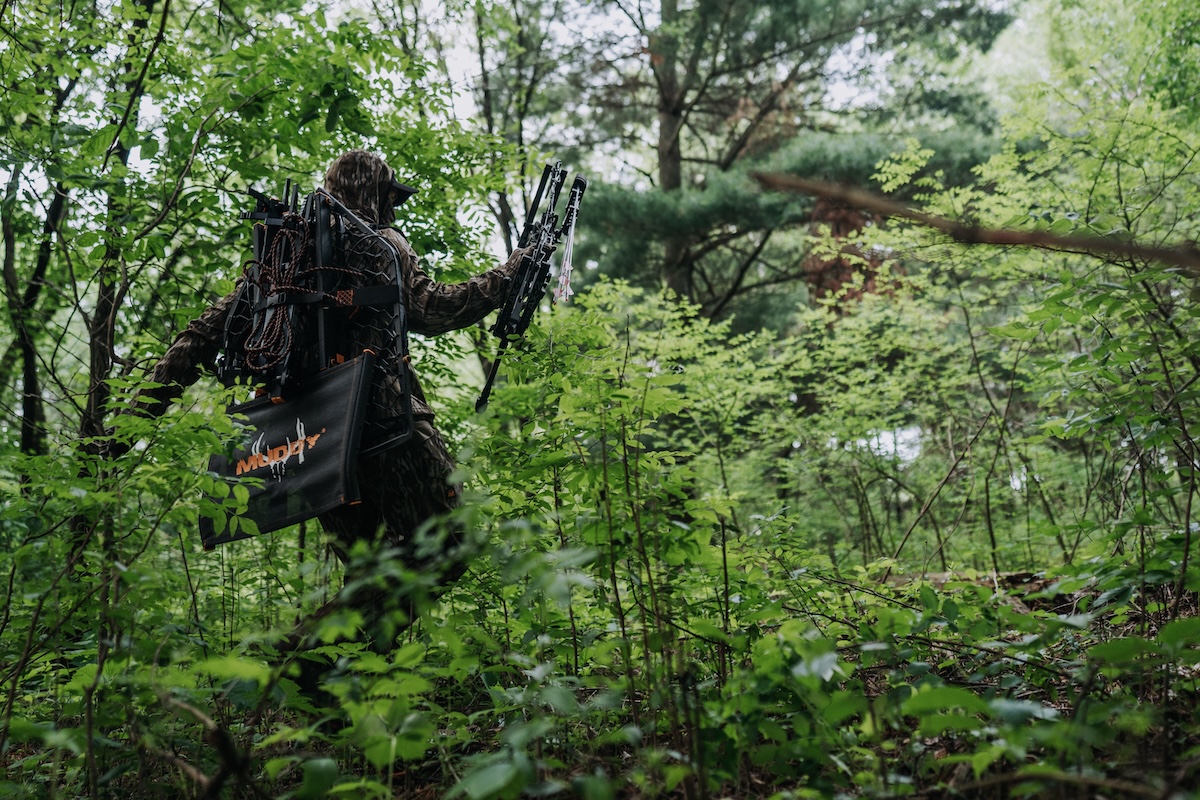 Improve Treestand Ambushes