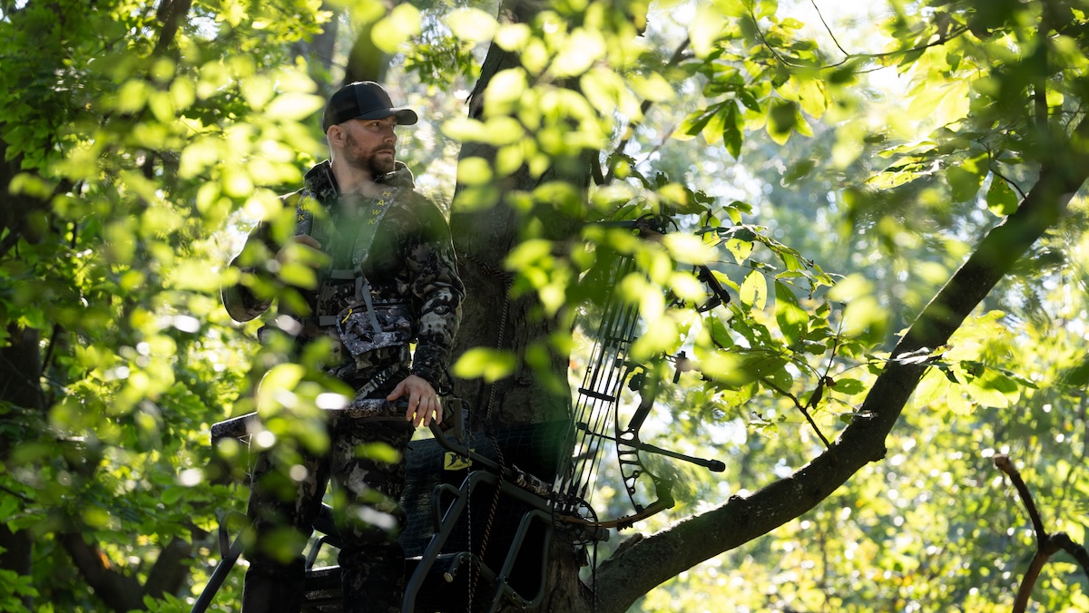 Improve Treestand Ambushes