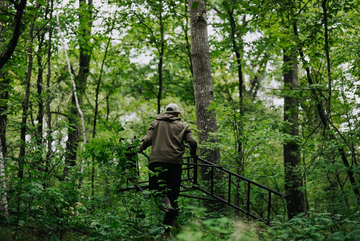 Improve Treestand Ambushes