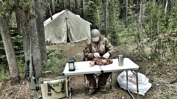 Bear Hunting With Hounds 10