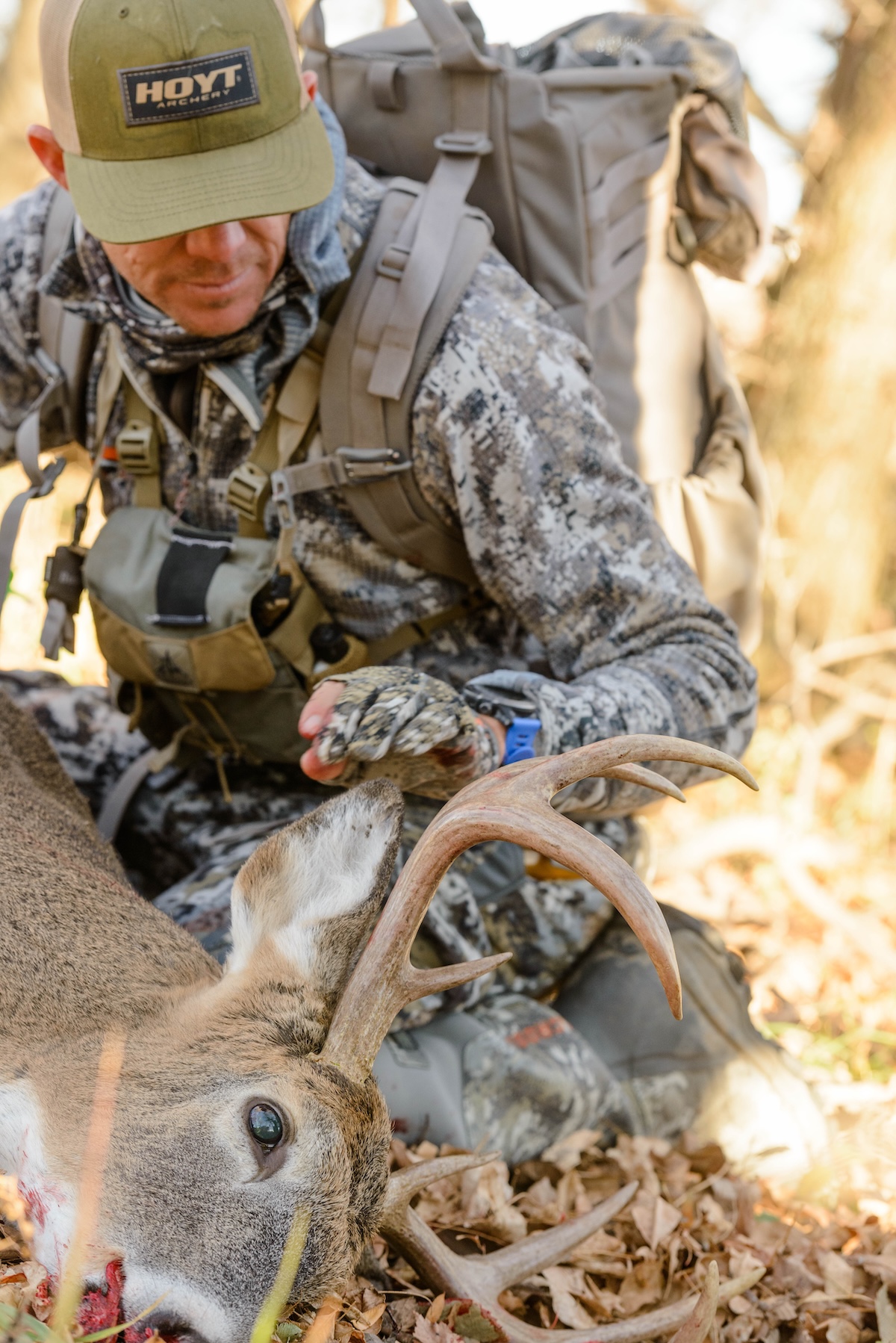 Public Land Stand Locations