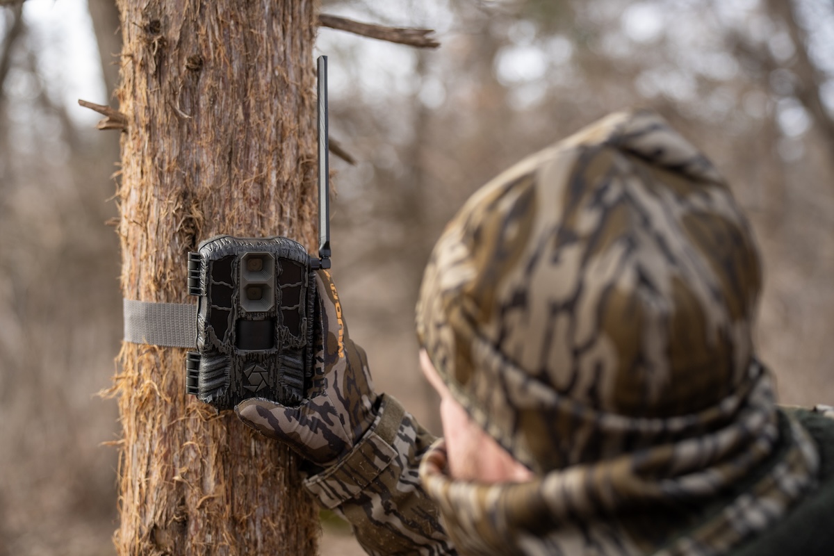 Public Land Stand Locations