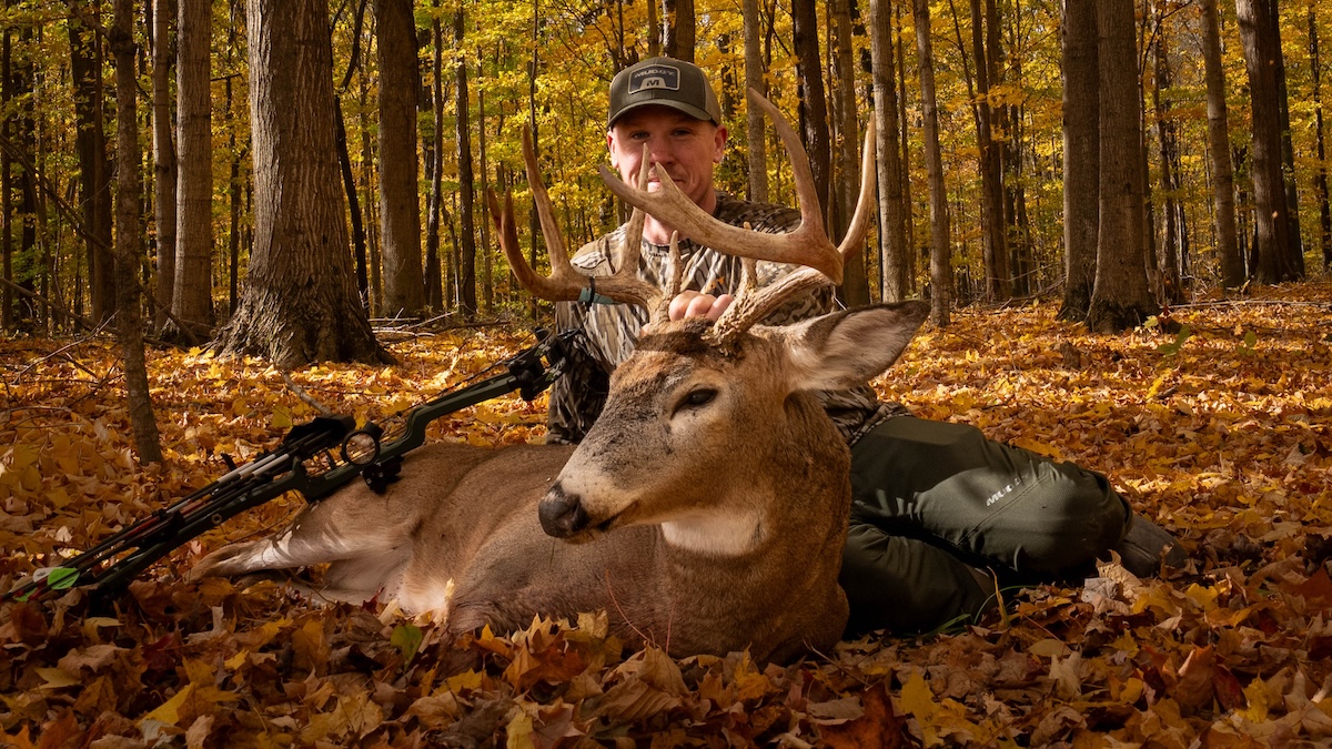 Ways to Improve Your Archery Skills