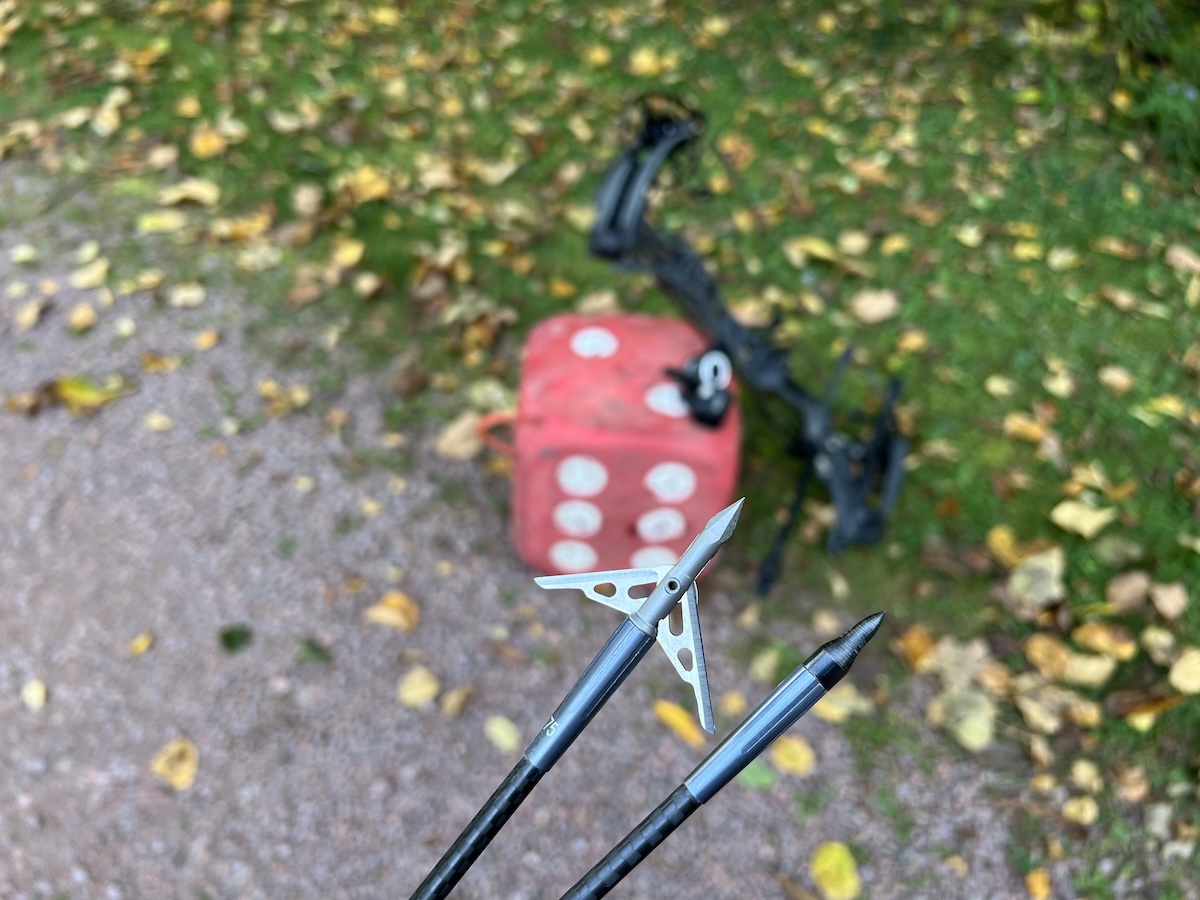 Ways to Improve Your Archery Skills