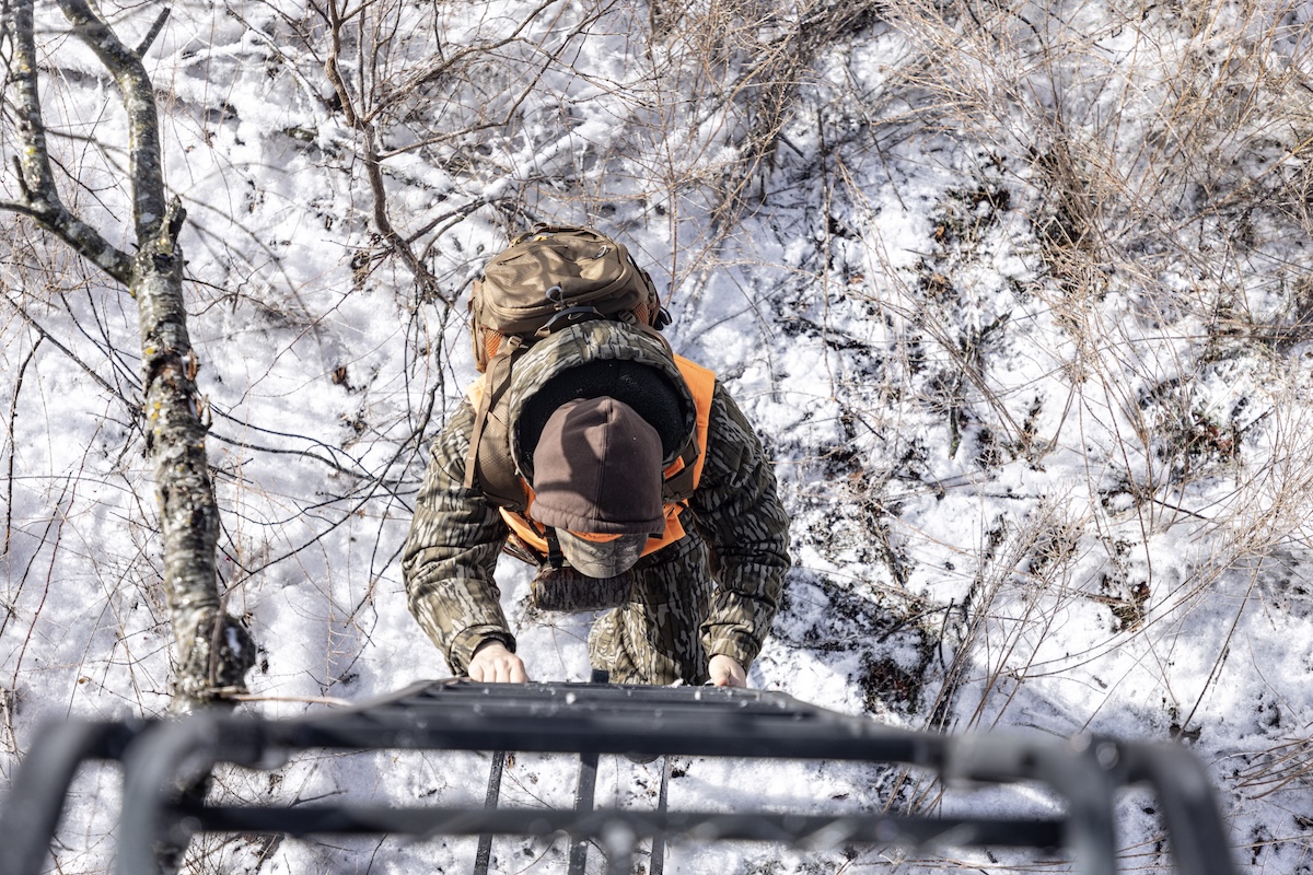 How Deer Survive Winter