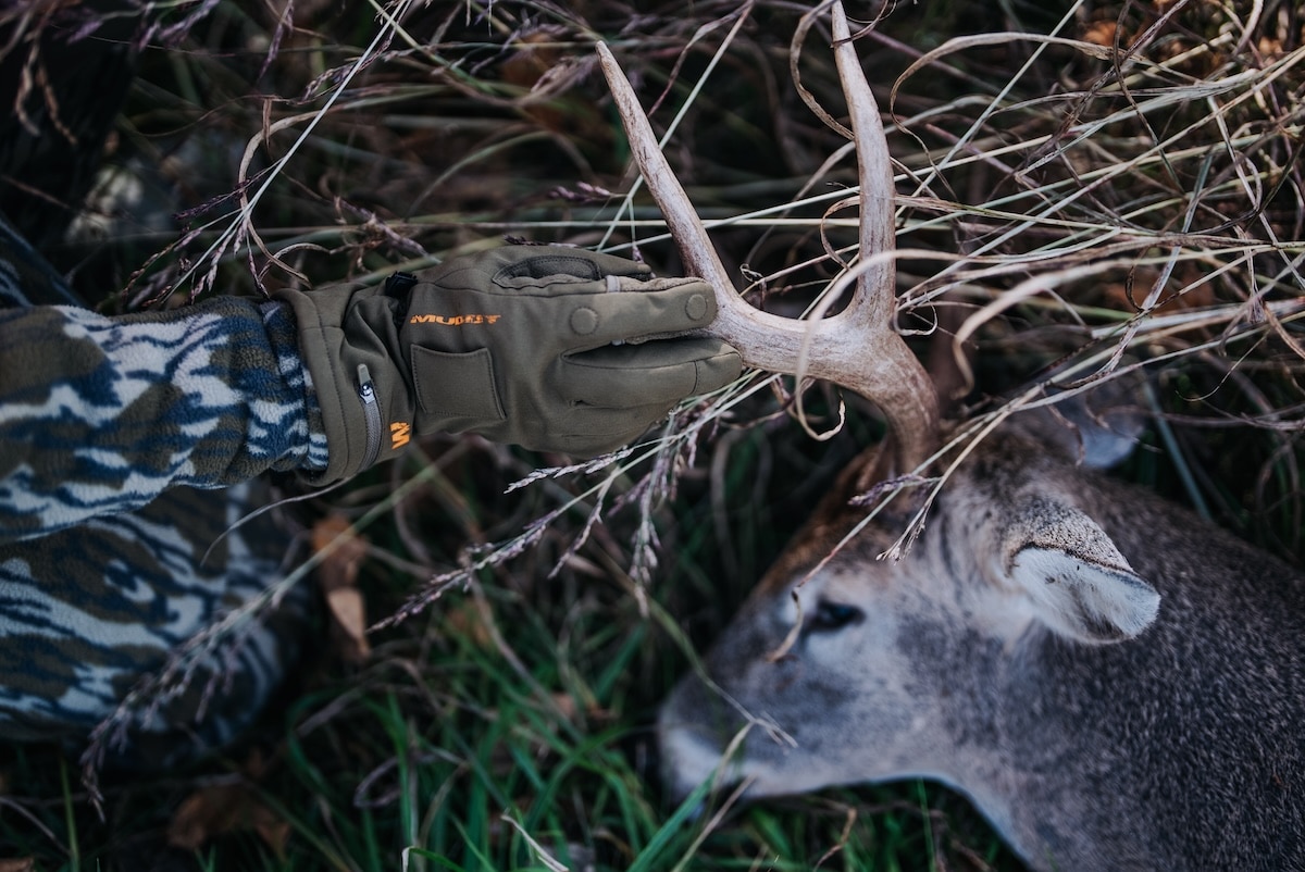 Worst Calibers For Deer Hunting 6
