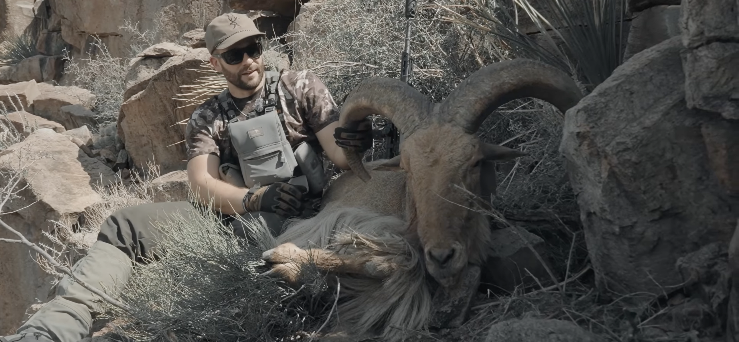 West Texas Audad Hunt