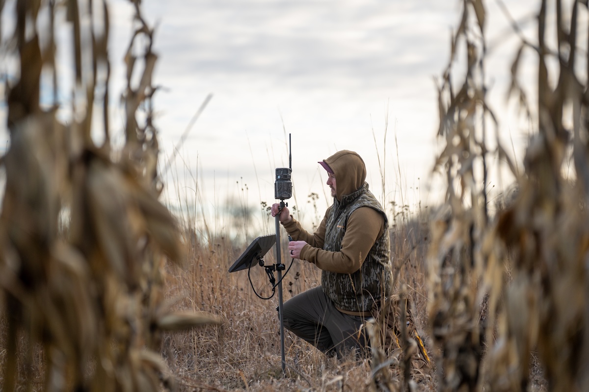 Deer Hunts in February or March
