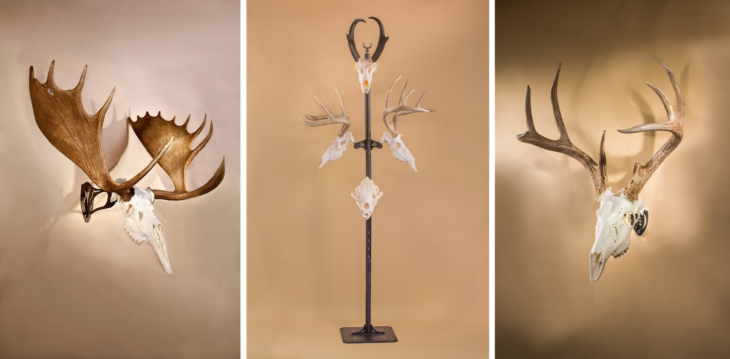 How to Do a European Mount