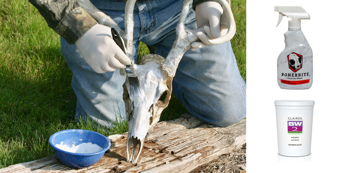 How to Do a European Mount
