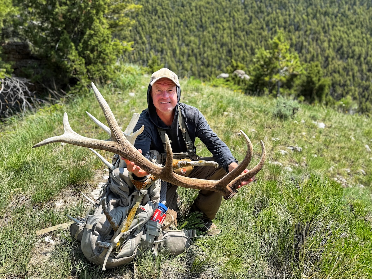 What Shed Antlers Teach You About Deer and Elk