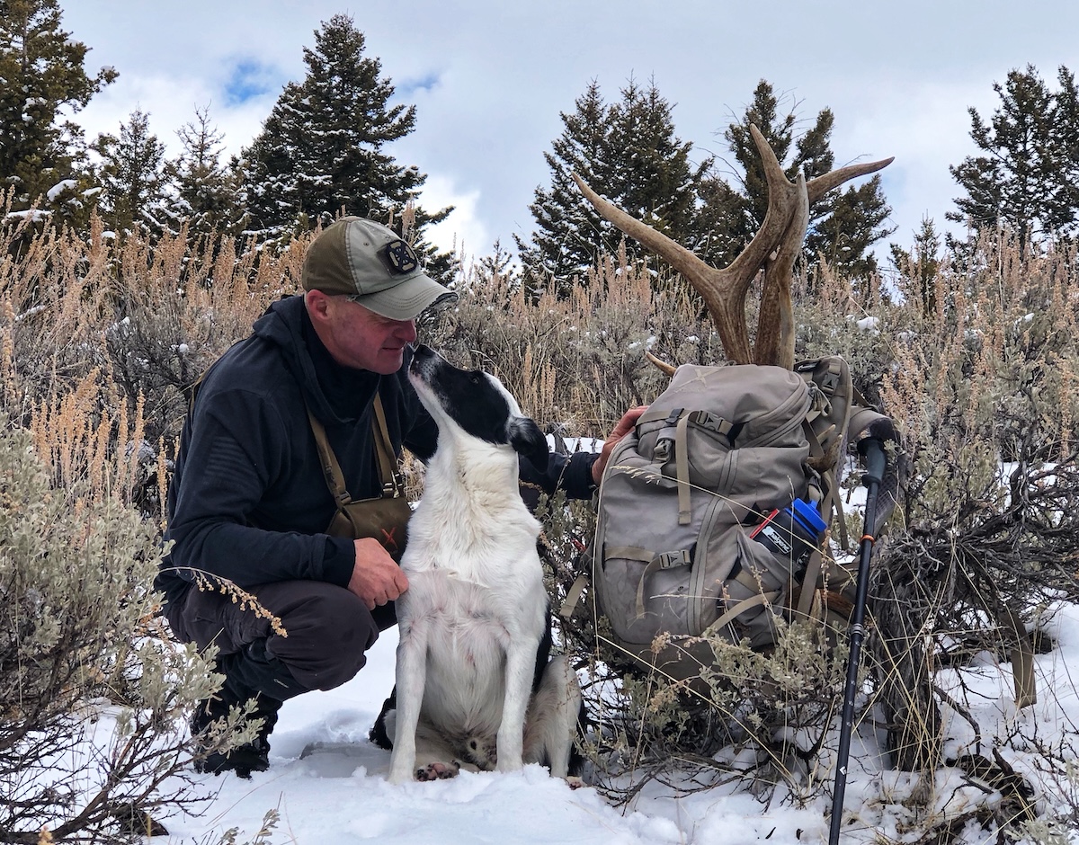 What Shed Antlers Teach You About Deer and Elk