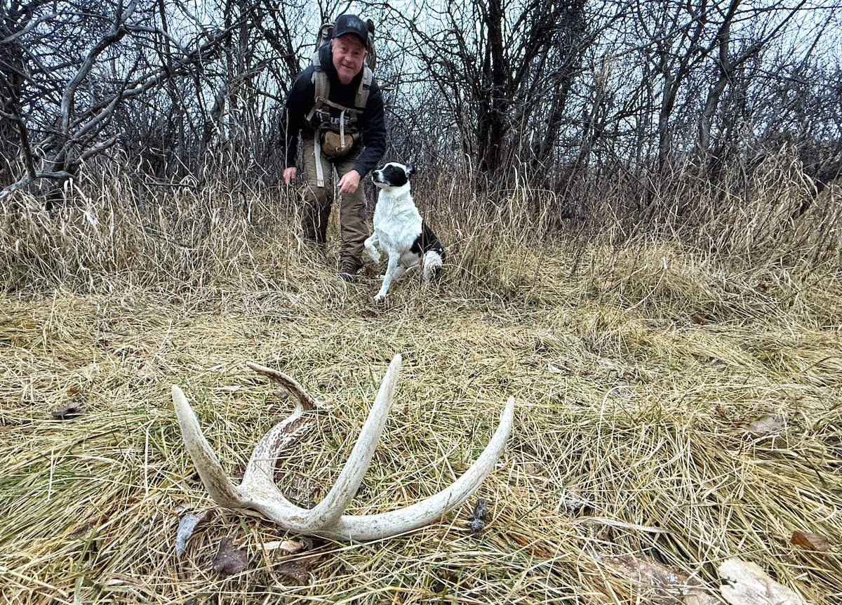 What Shed Antlers Teach You About Deer and Elk