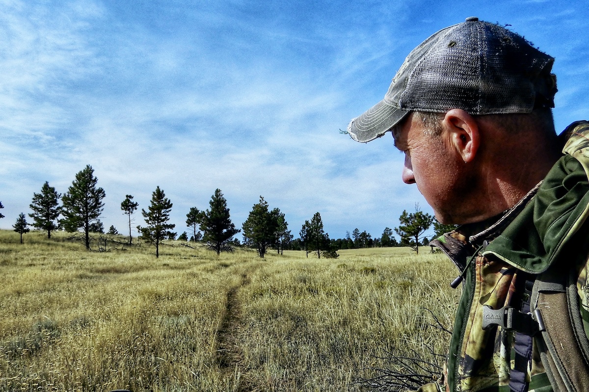 What Shed Antlers Teach You About Deer and Elk