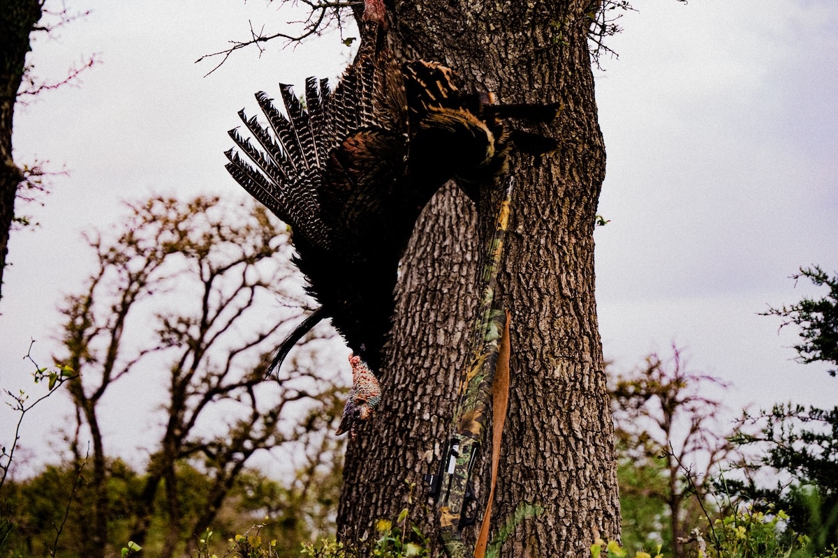 Turkey Hunting Road Trips