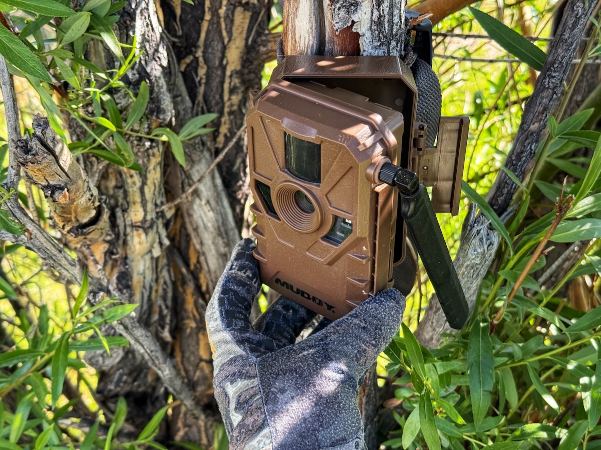 Use Cellular Trail Cameras Year Round Sw878