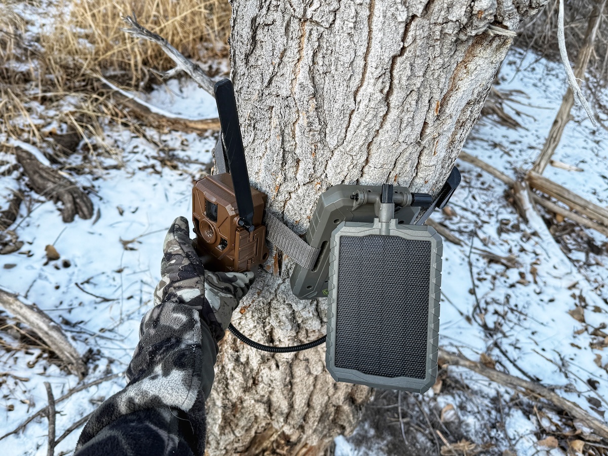 Use Cellular Trail Cameras Year Round Sw901