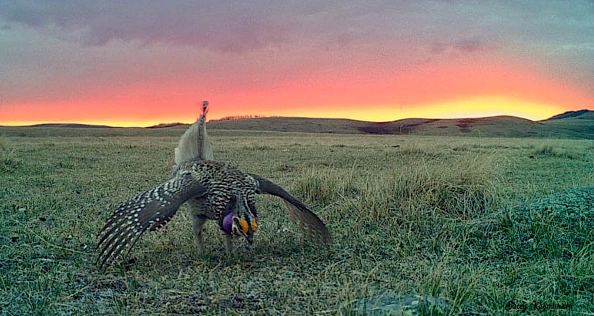 19.jeff Rasmussen And My Fave Sunrise Pic, My Daughter Jacey Rasmussen Set My Cam Up For This Photo.