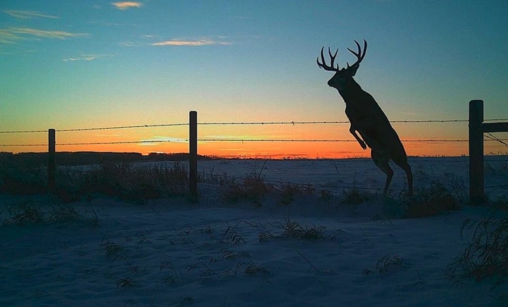 20.jeff Rasmussen My Fave Sunset Pic