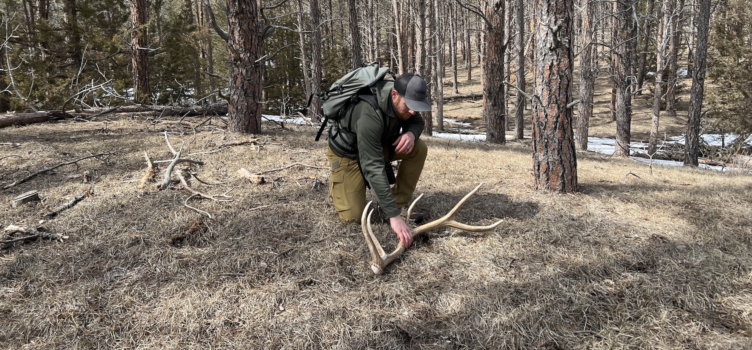 How to Find More Sheds