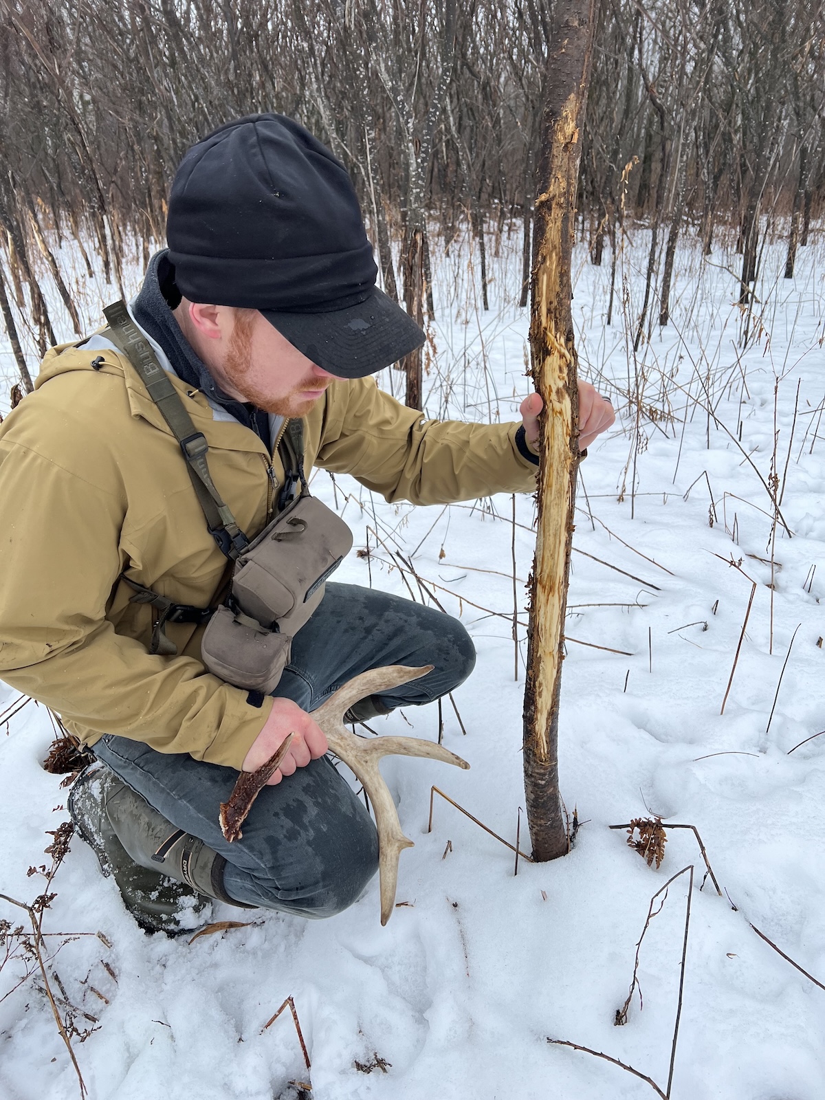 How to Find More Sheds