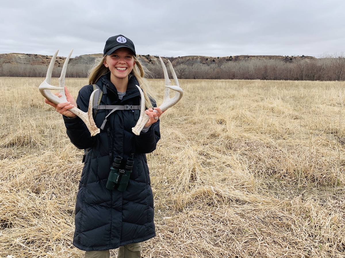 How to Find More Sheds