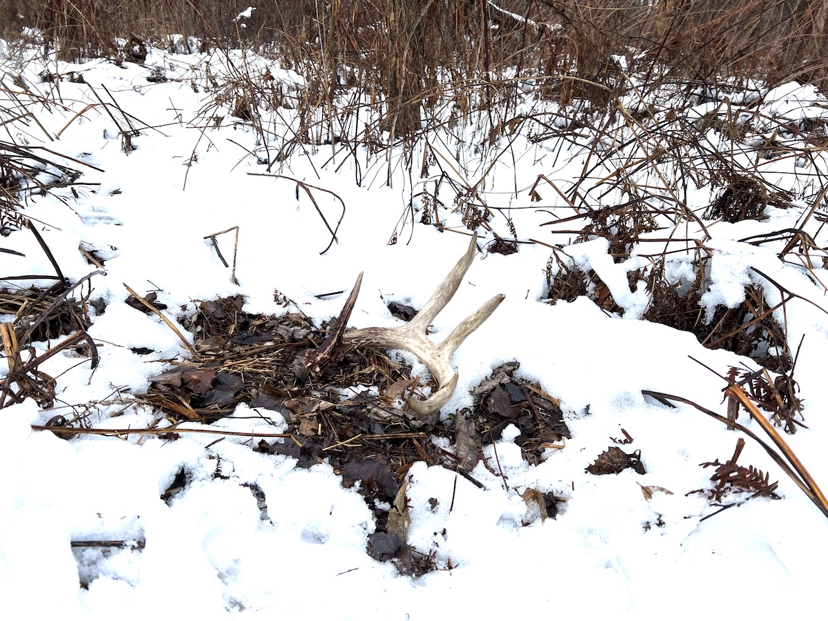 How to Find More Sheds