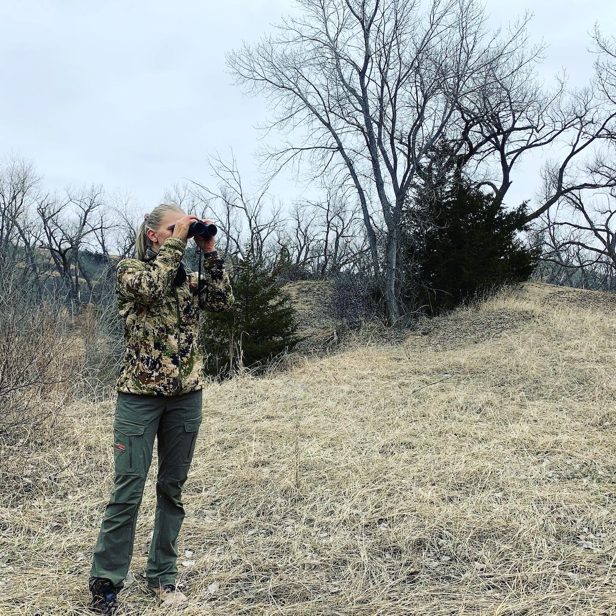How to Find More Sheds