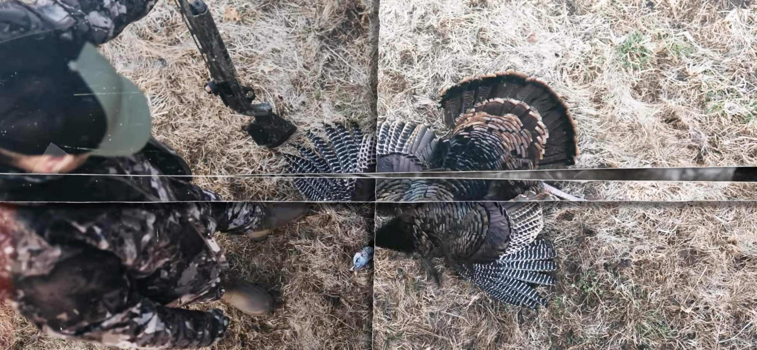 Minnesota Turkey Hunting
