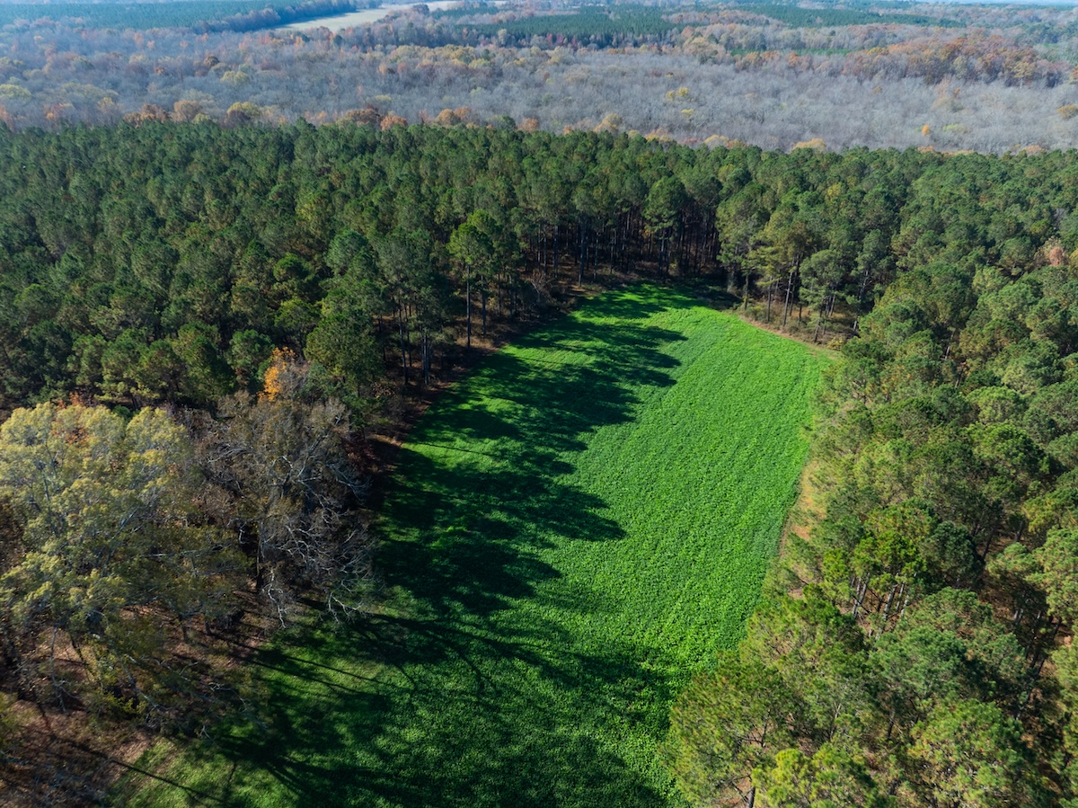 Turkey Terrain 1