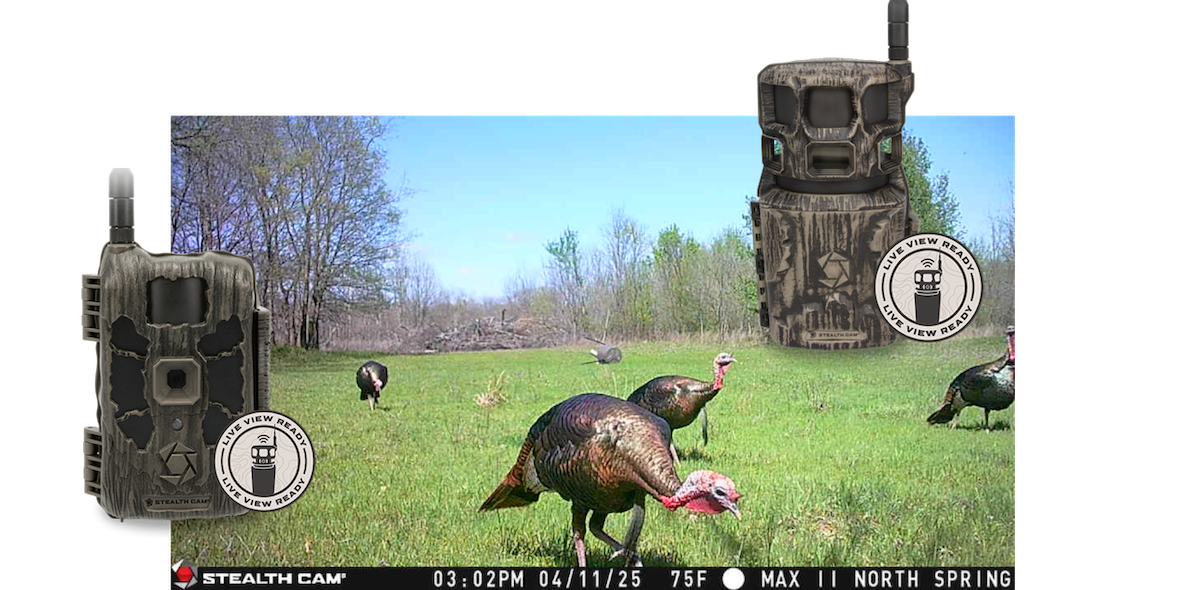 Huntstand Live View Cell Cameras 3