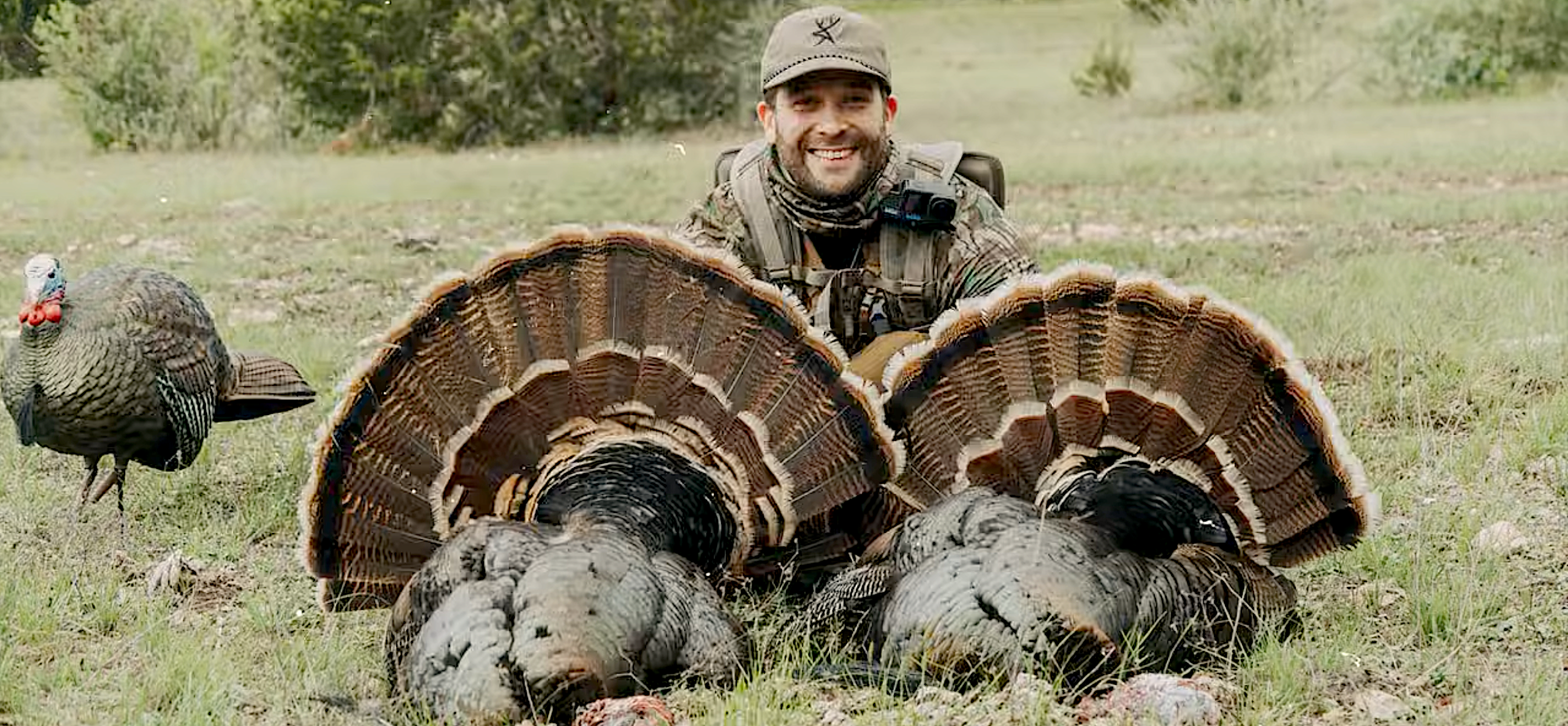 Hunting Texas Rio Grande Turkeys