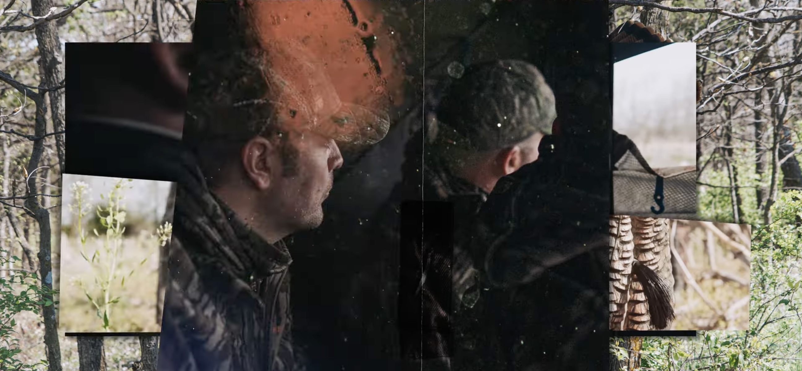 Late Season Gobblers In Wisconsin