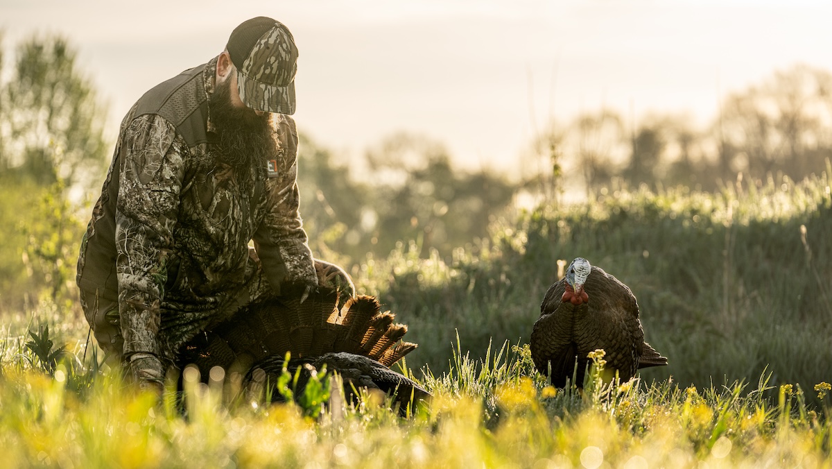 Places To Find Pressured Turkeys