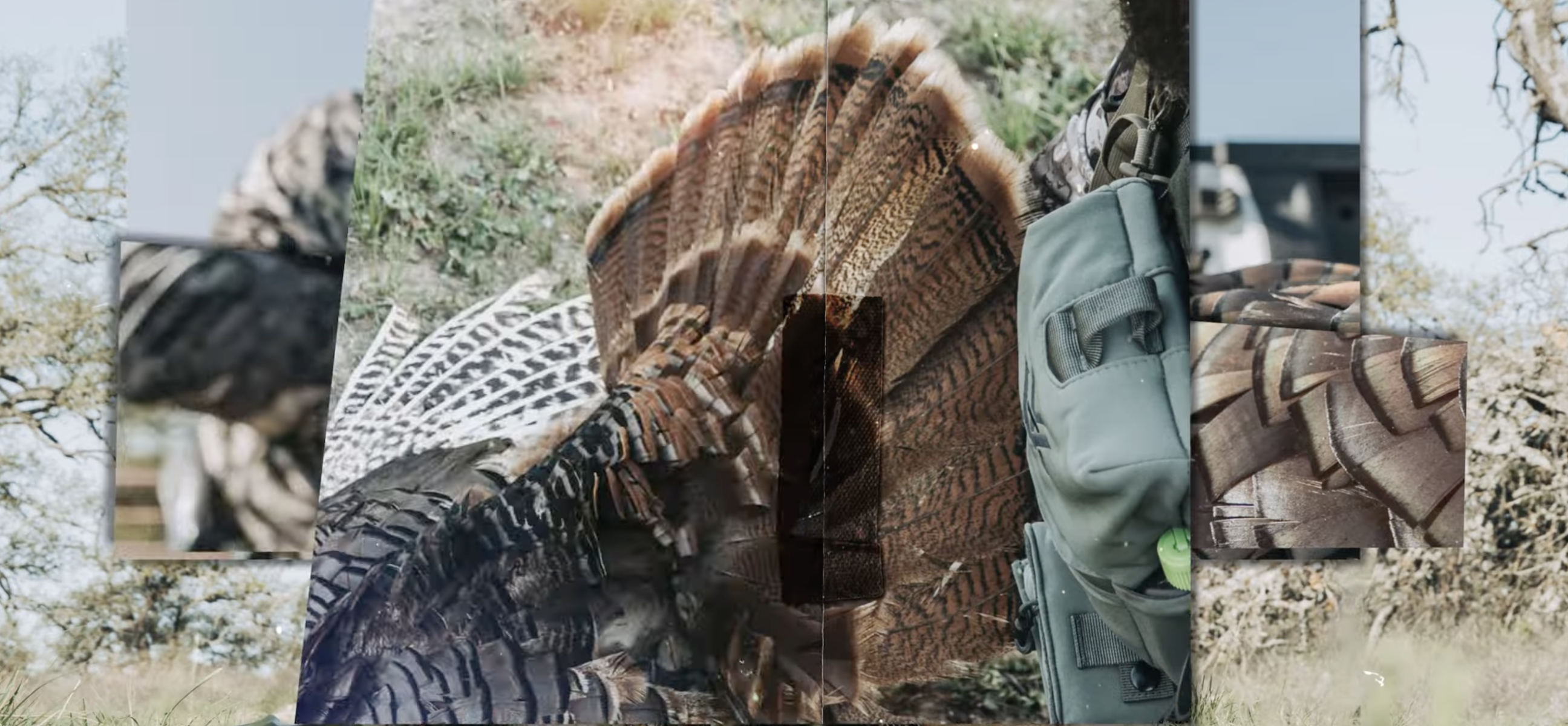 Texas Turkey Hunting