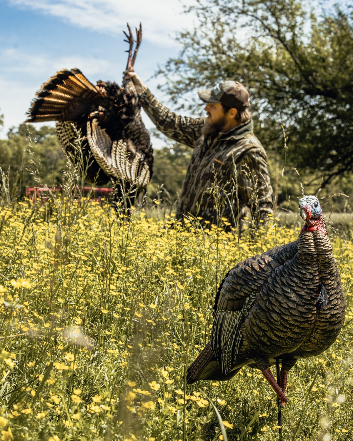 Turkey Hunting Permission