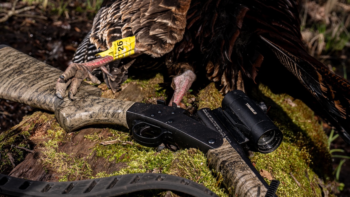 Turkey Hunting Permission