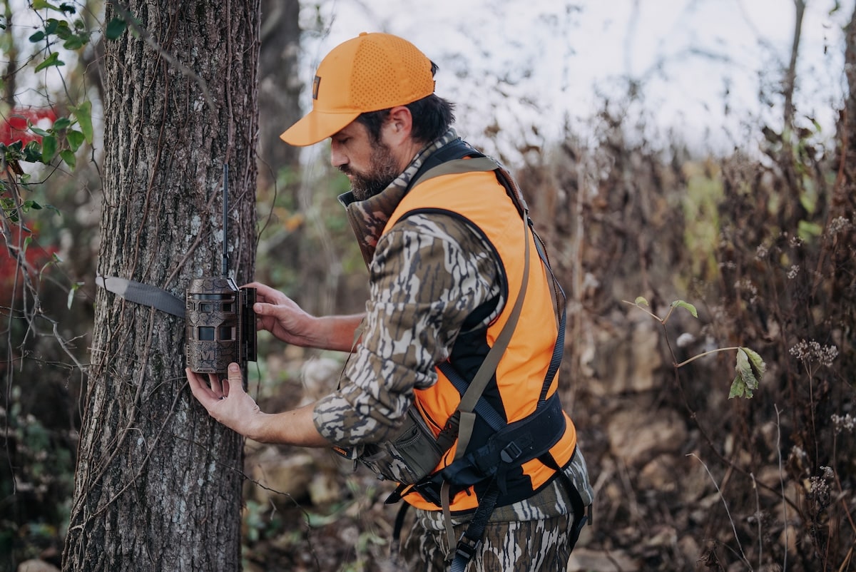 How Do I Get Trail Cam Photos of Every Buck on My Hunting Property?