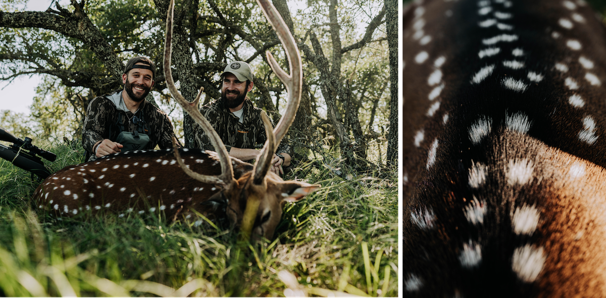 Deer Hunting In Summer 3