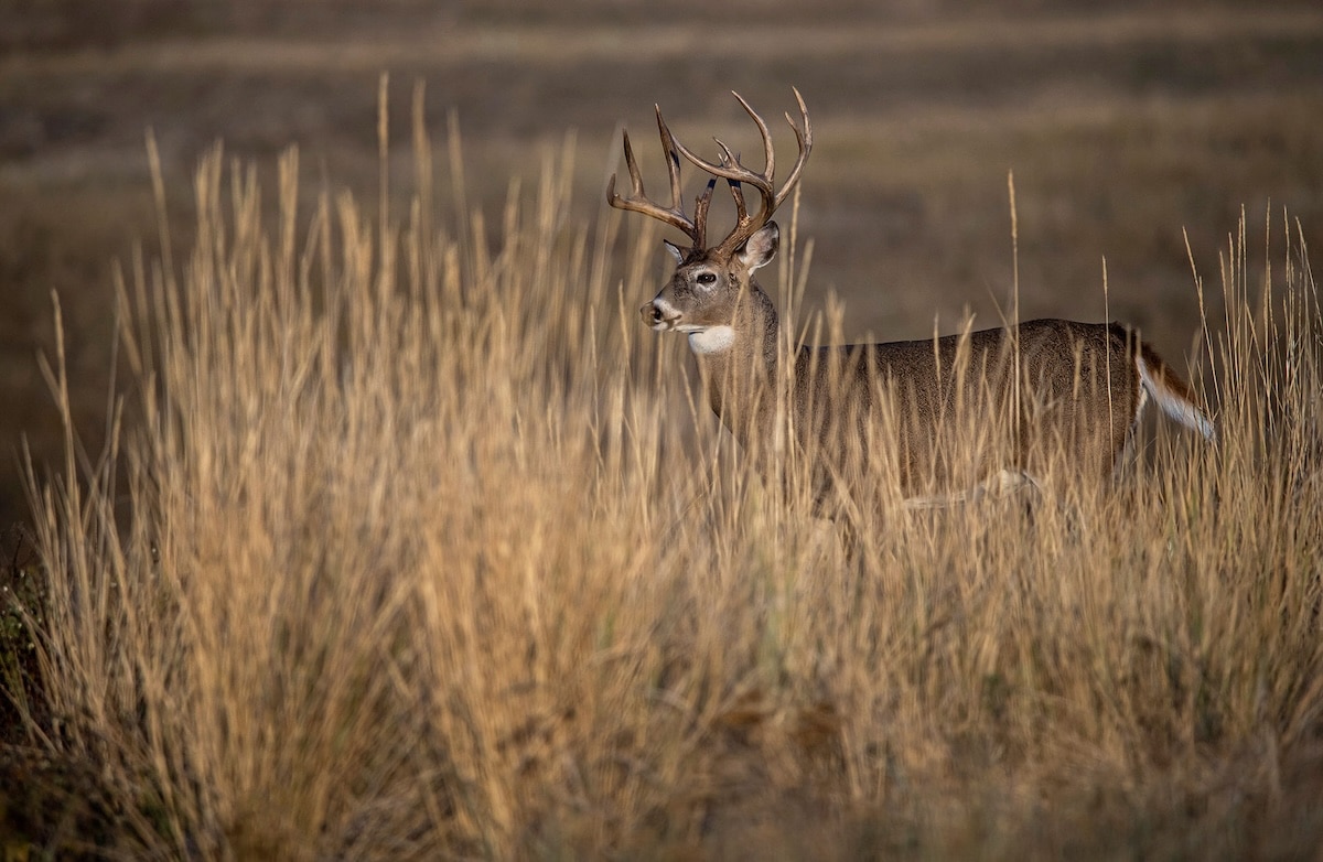 HuntStand Ultimate Subscription
