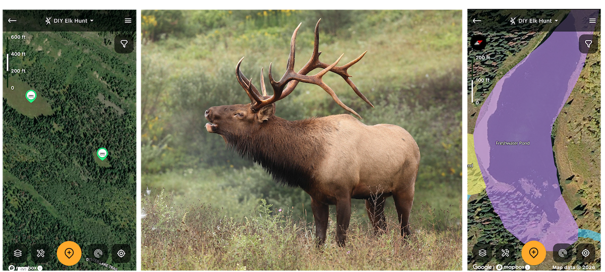 First Diy Elk Hunt 4
