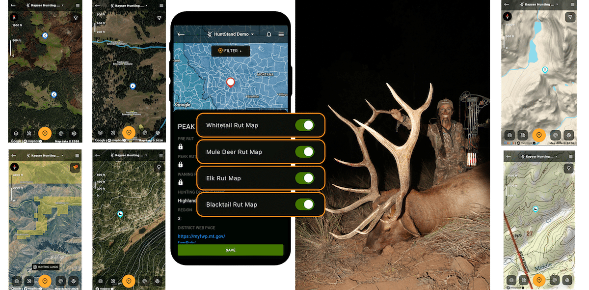 Terrain Features That Nomadic Elk Use