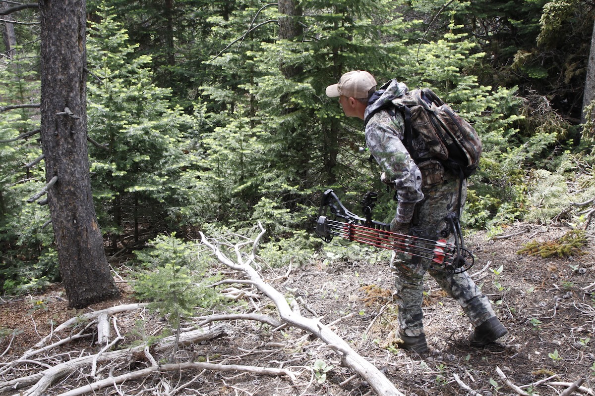 Terrain Features That Nomadic Elk Use