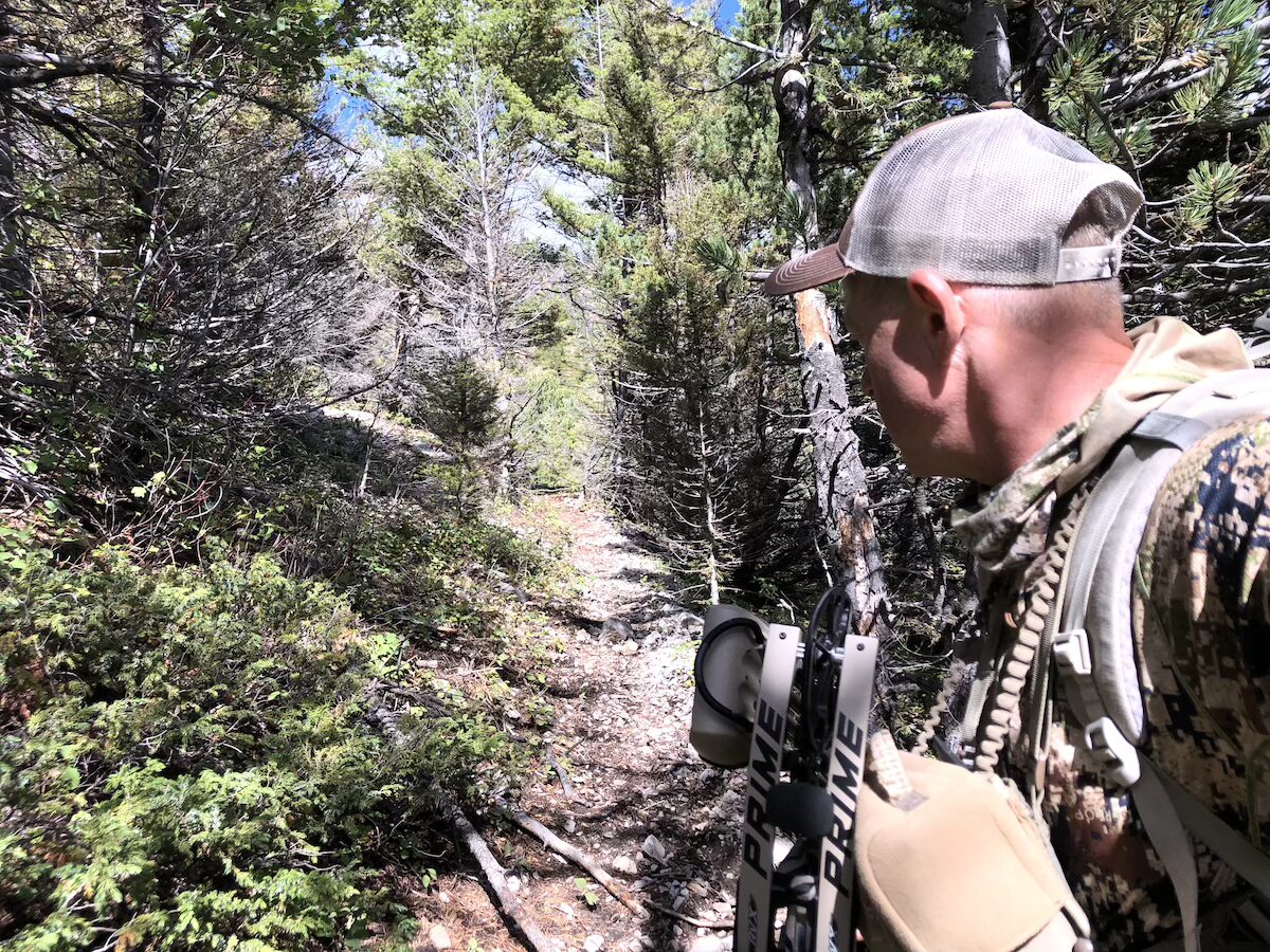 Terrain Features That Nomadic Elk Use