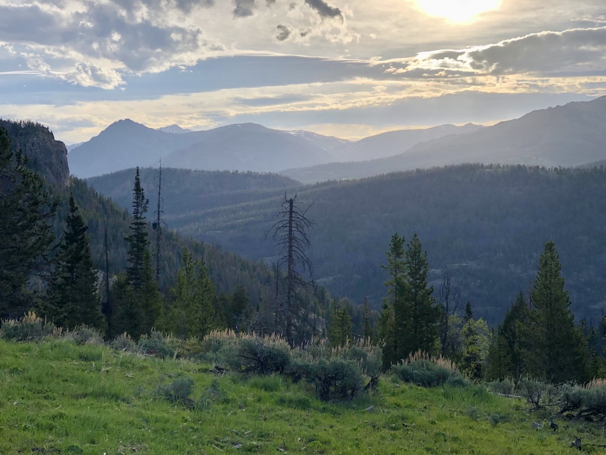 Terrain Features That Nomadic Elk Use