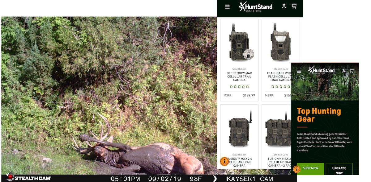 How To Find Elk