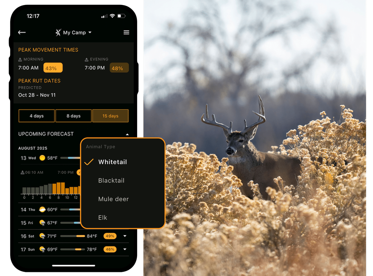 Kill More Deer in September with HuntStand’s Whitetail Activity Forecast
