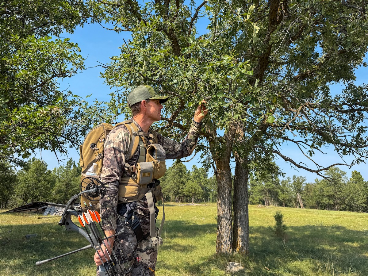 Kill More Deer in September with HuntStand’s Whitetail Activity Forecast